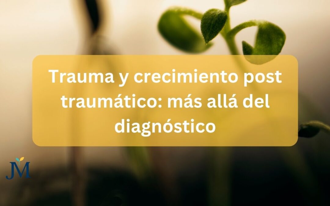Trauma y crecimiento postraumático: más allá del diagnóstico