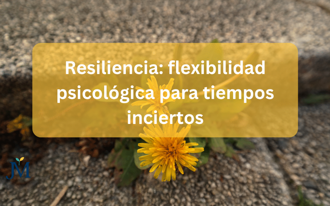Resiliencia: flexibilidad psicológica para tiempos inciertos